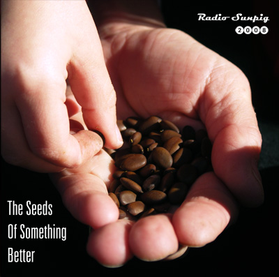 Radio Sunpig 2008: The Seeds Of Something Better