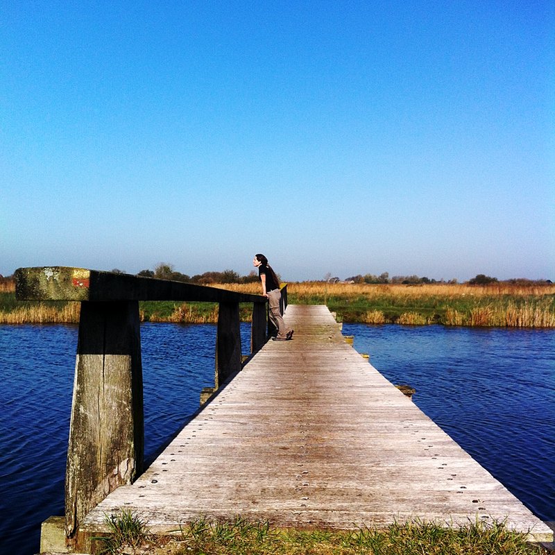 Abi on a bridge in Het Twiske