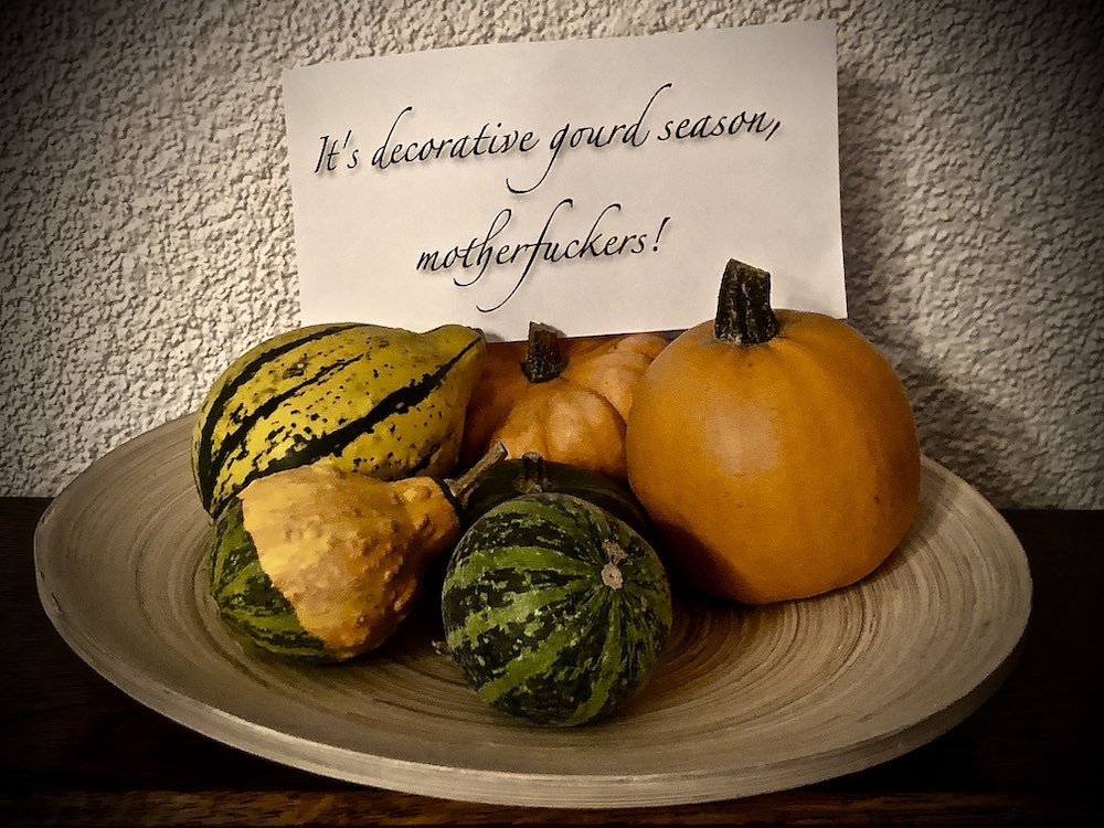 Some decorative gourds with a note saying, It's Decorative Gourd Season Motherfuckers! in fancy script 