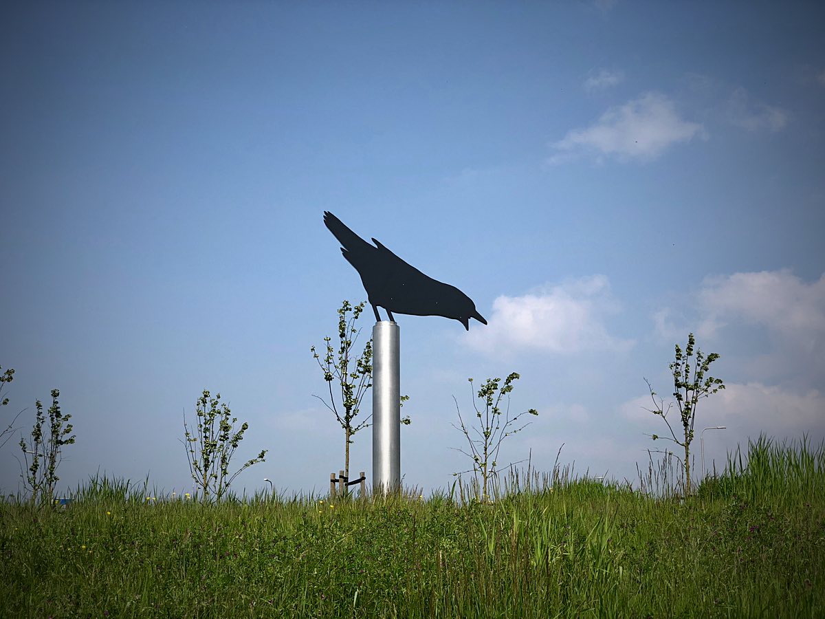 Crow weathervane Schoorl